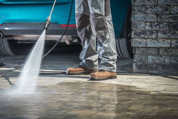 Pre-Holiday Cleaning in Griggsville, IL