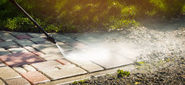Animal Enclosure Cleaning in Griggsville, IL