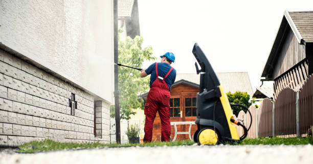 Best Roof Washing  in Griggsvle, IL